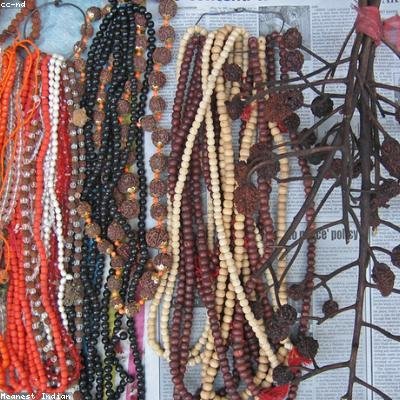 Rudraksha
