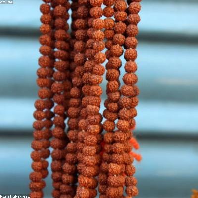 Rudraksha Item 1
