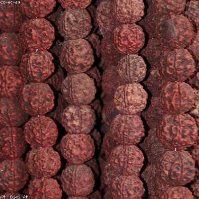 Rudraksha Item 2